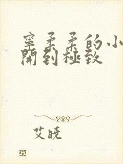 宁柔柔的小泬撑开到极致封面