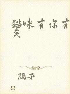 猫咪有你有我足矣