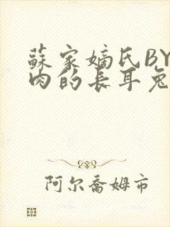 苏家嫡氏BY吃肉的长耳兔