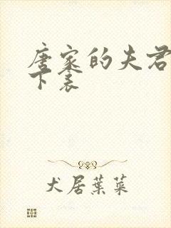 唐家的夫君们帘下衾