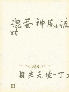 混蛋神风流史txt封面