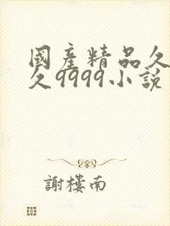 国产精品久久久久9999小说