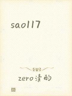 sao117封面