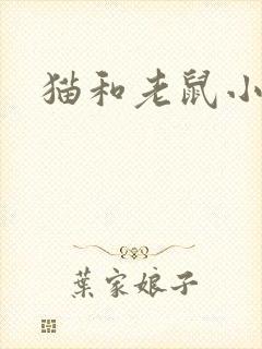 猫和老鼠小说