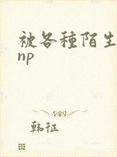 被各种陌生人 np