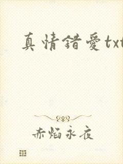 真情错爱txt