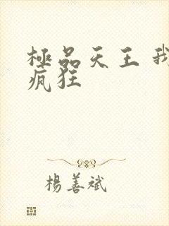 极品天王 我本疯狂