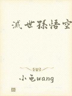 灭世孙悟空封面