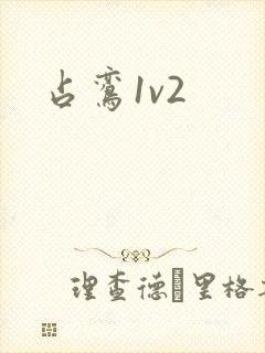 占鸾1v2