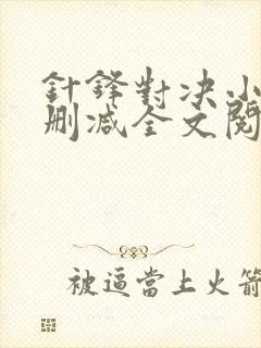 针锋对决小说未删减全文阅读