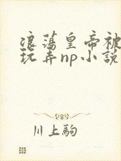 浪荡皇帝被多人玩弄np小说