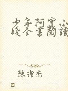 少年阿宾小说在线全书阅读无弹窗免费