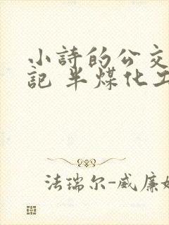 小诗的公交车日记 半煤化工