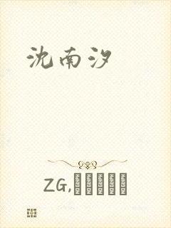 沈南汐封面