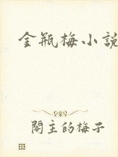 金瓶梅小说封面