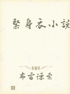 紧身衣小说