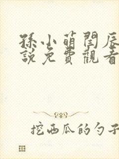 孙小萌闫辰的小说免费观看封面