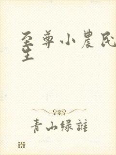 至尊小农民王木生