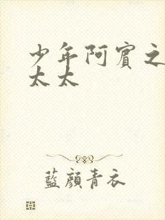 少年阿宾之房东太太封面