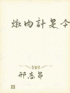 炖肉计是今海棠封面