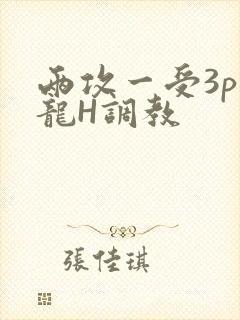 两攻一受3p双龙H调教