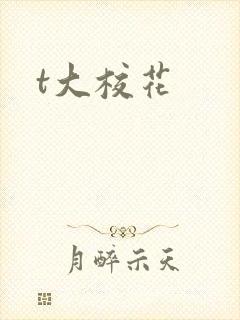 t大校花