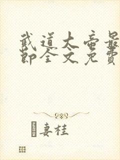 武道大帝最新章节全文免费阅读封面