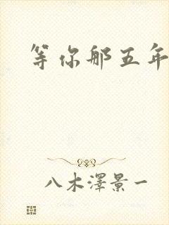 等你那五年封面