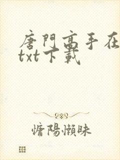 唐门高手在异世txt下载封面