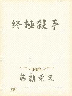 终极杀手