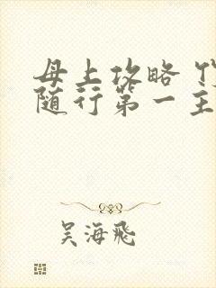 母上攻略 竹影随行第一主板