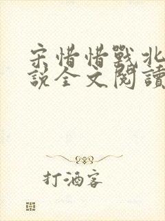 宋惜惜战北望小说全文阅读