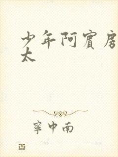 少年阿宾房东太太封面