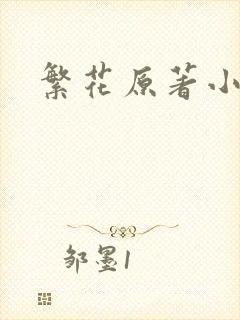 繁花原著小说
