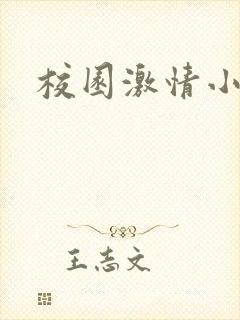 校园激情小说封面