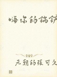 嗨你的锅铲封面