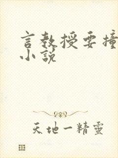 言教授要撞坏了小说封面