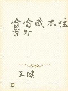 偷偷藏不住新婚番外