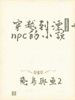 穿越到湮婸世界npc的小说