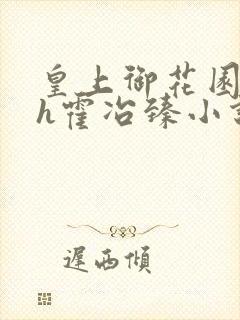 皇上御花园hlh霍冶臻小说封面