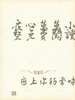 夜心万万小说完整免费阅读全文