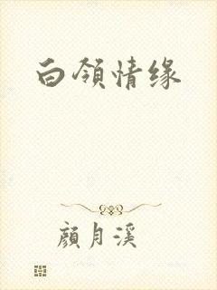 白领情缘