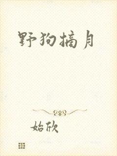 野狗摘月