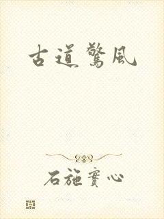古道惊风封面