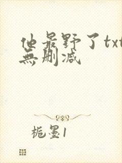 他最野了txt无删减封面