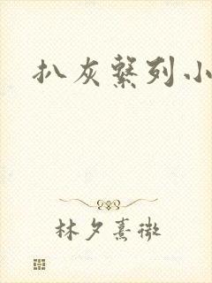 扒灰系列小说封面