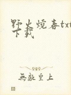 野火烧春txt下载