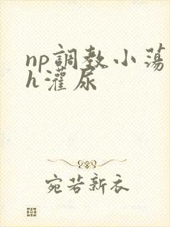 np调教小荡货h灌尿