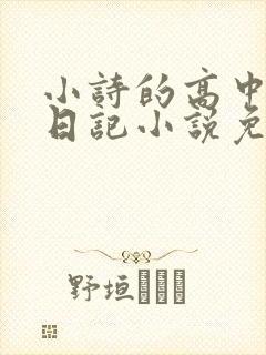 小诗的高中成长日记小说免费阅读
