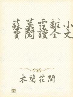 苏莱霍离小说免费阅读全文